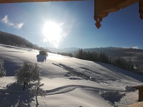 Ferienwohnung Natrun - Bauernhof Rohrmoos Farm Stay in Salzburgerland