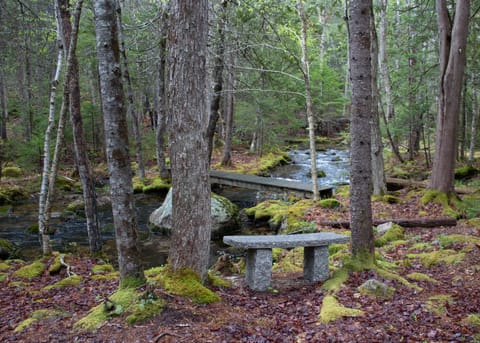 Granite bench by the stream