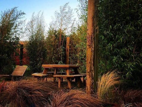 Back garden in autumn from the apartments