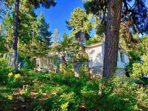 Side view of house through the trees