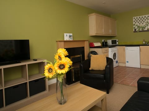 Living/Dining Area (Apartment 3C)