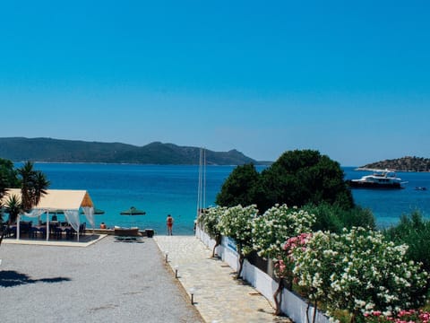 View from the balcony