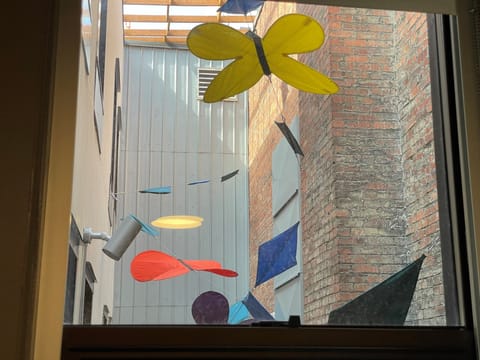 Master Bedroom | Lightwell Window with kites