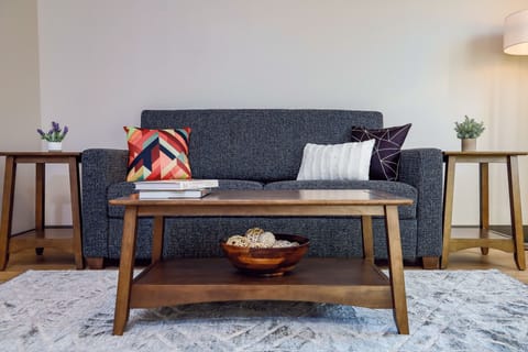 Living Room | Sofa Sleeper