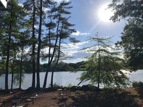 View from back yard