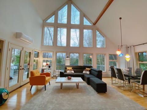 Beautiful high ceiling spacious large window living room