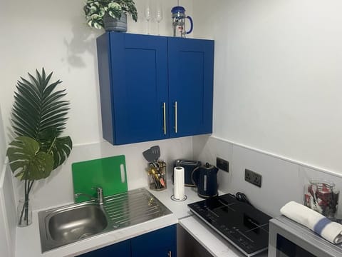 Studio 5 kitchenette with induction hob and microwave 