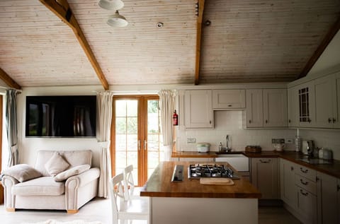 60 inch tv in lounge