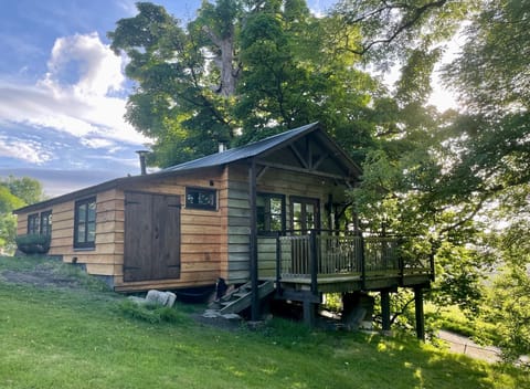 Owl Lodge Rear View