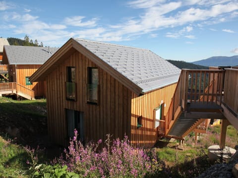 Plant, Sky, Cloud, Property, Building, Wood, Window, Architecture, Land Lot, Flower