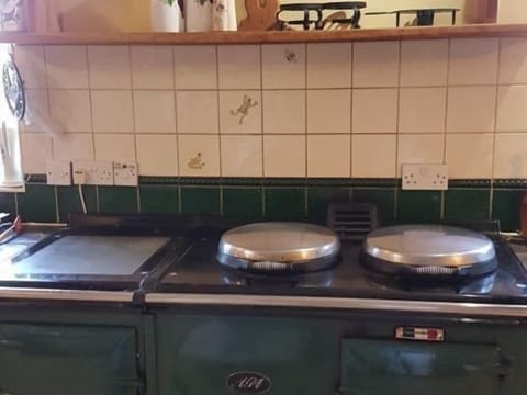 Aga Oven Feature