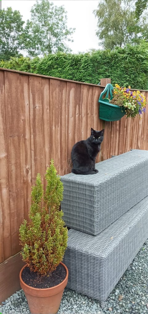 Ali on the guests decking