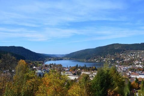 ee86a928-0120-406c-be1e-a686303aa109