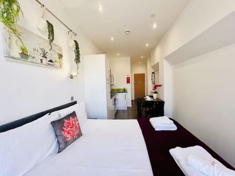 Studio 9 - King Studio Apartment with City Views 