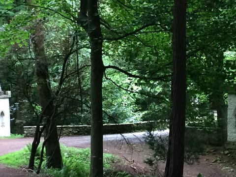 Activities & Experiences