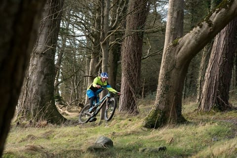 Activities & Experiences