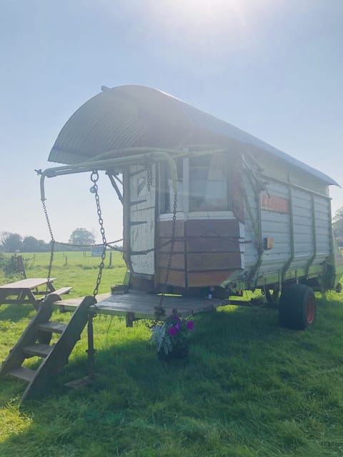 Wagon