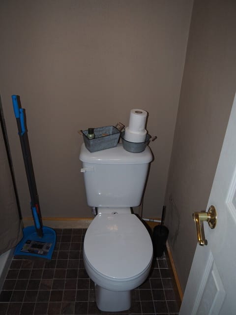 BATHROOM: Features a shower and toilet. (Note that there is no vanity, sink, or mirror in the bathroom.)