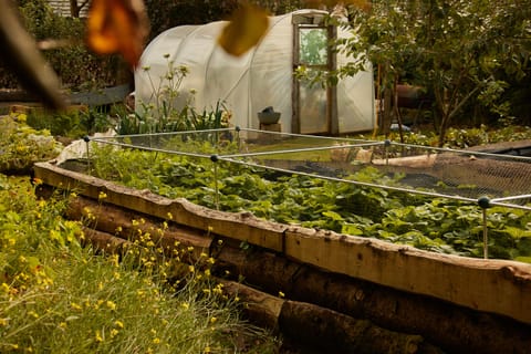 Kilmartin Castle organic kitchen garden