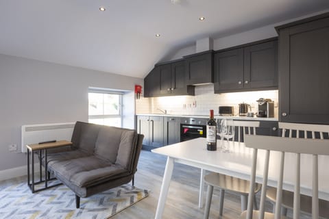 Kitchen / Living Area