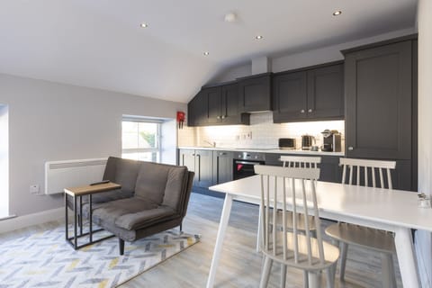 The Junior Room Kitchen/Living Area