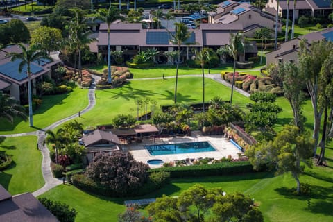 Lush aerial property view with stunning landscaping.