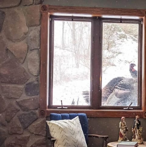 In the fall and winter, wild turkeys often visit the house (no hunting allowed!)