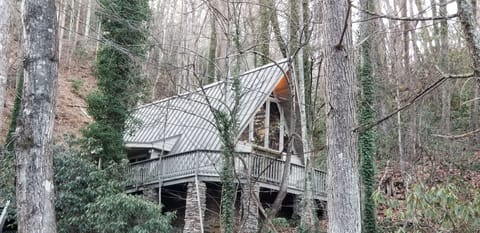 Beautiful updated original chalet sets high above ever-flowing creek in yard
