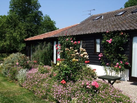 Cottage garden