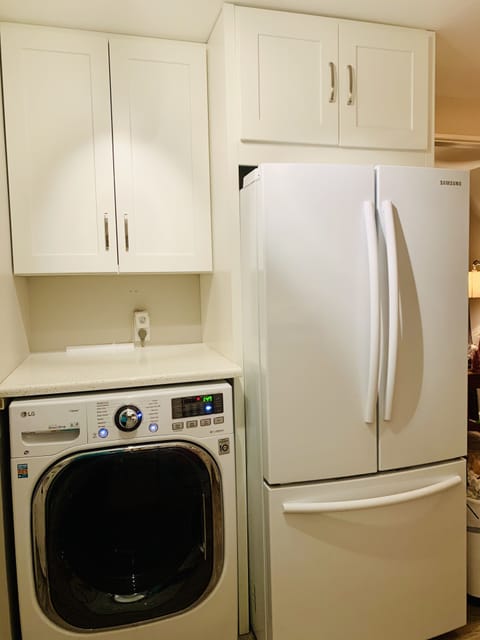 All in one Washer/Dryer. Detergents and Norwex cleaning supplies in the cabinet 