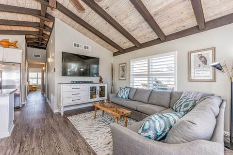 brand new sectional and smart tv