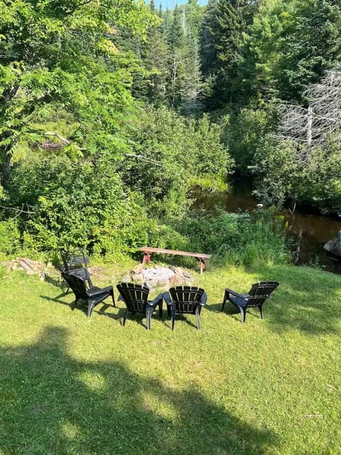 Fire Pit / Back Yard