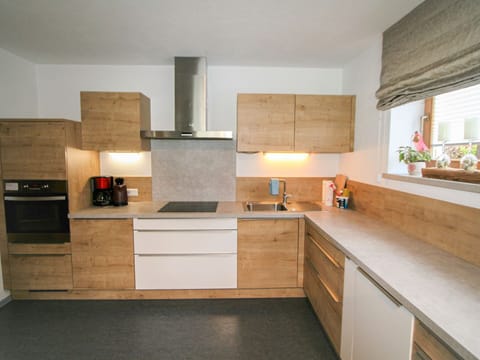 Cabinetry, Kitchen Sink, Countertop, Property, Tap, Sink, Furniture, Plumbing Fixture, Kitchen Stove, Houseplant