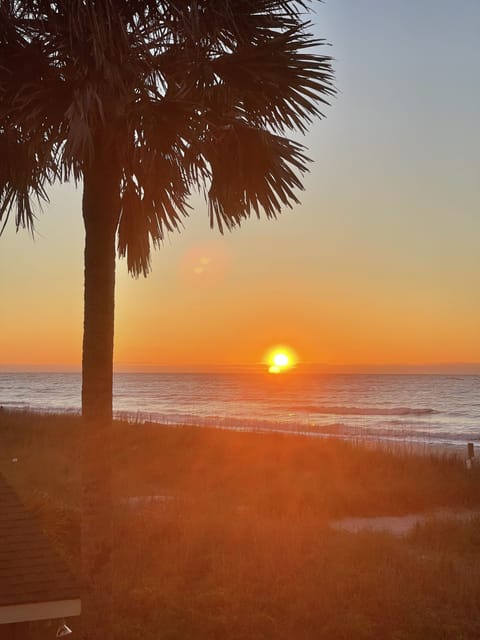 Sunrise