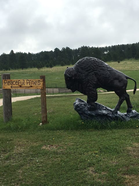 Welcome to Peaceful Pines 25444 Sidney Park Rd 