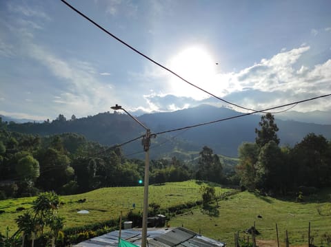 view from the balcony