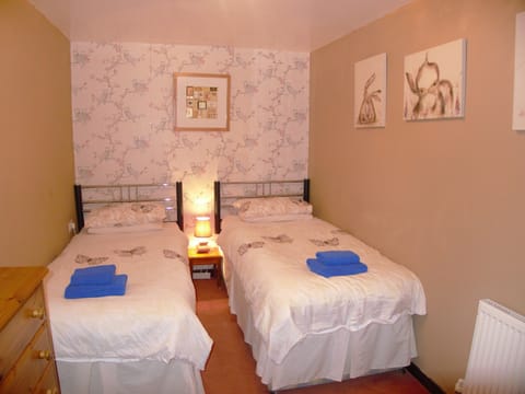 Carreg Bwa Twin Bedroom