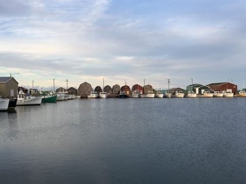 Malpeque Harbour
