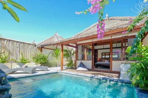 Pool (Outdoor)