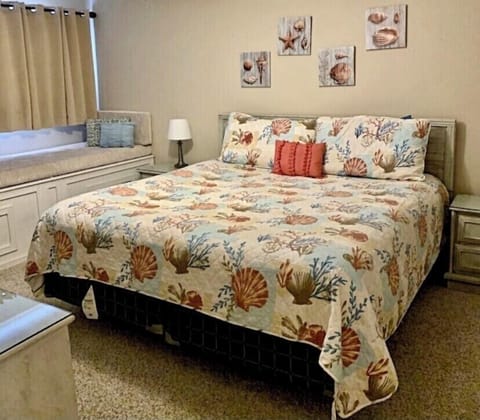 Master Bedroom With King Size Bed 