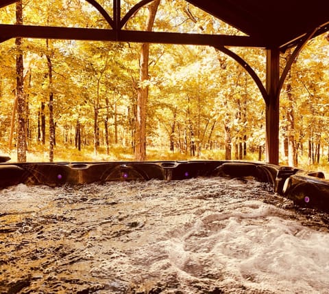 NEW hot tub
