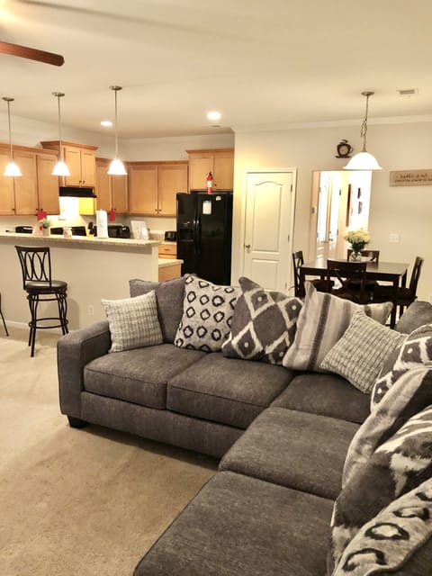 Family Room/ Kitchen 