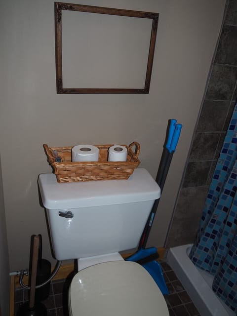 BATHROOM: Features a shower and a toilet. (Note that there is no vanity, sink, or mirror in the bathroom.)