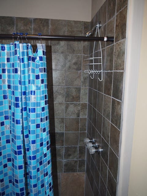 BATHROOM: Features a shower and a toilet. (Note that there is no vanity, sink, or mirror in the bathroom.)