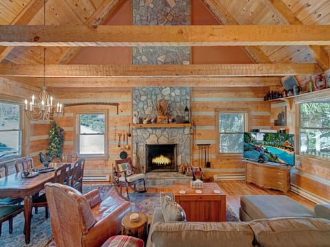 Living Room--- Cozy w/ Wood Fireplace, Large TV