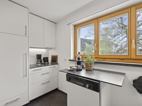 Countertop, Cabinetry, Property, Building, Window, Kitchen, Kitchen Stove, Kitchen Appliance, Home Appliance, Plant