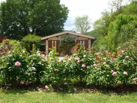 East side guest house with english roses