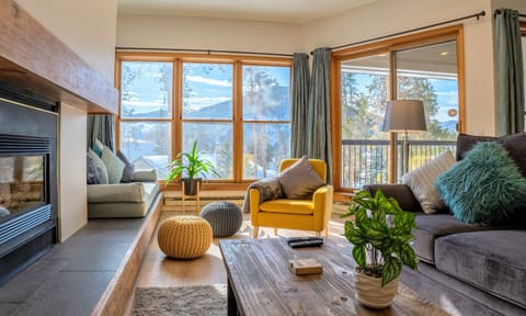 Bright living room - big south-facing windows