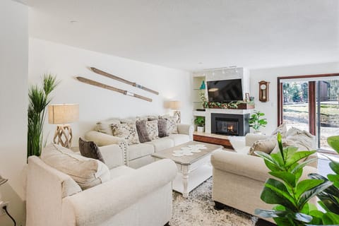 Living area and fireplace.