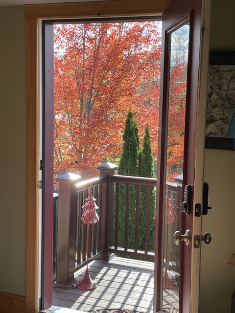 Autumn view just outside the studio door.